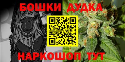 гашик Аргун