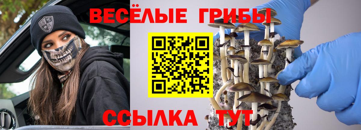 Вышний Волочёк  Псилоцибиновые грибы Psilocybe  Вход с VPN 