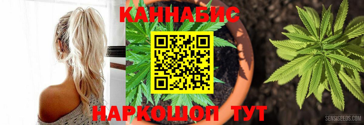 Бошки марихуана Amnesia Вышний Волочёк